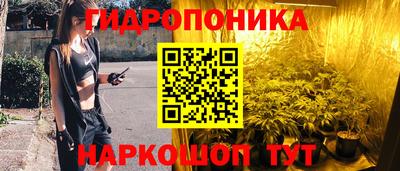 стаф Бугуруслан